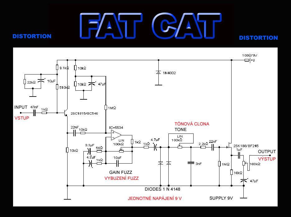 schema fat cat.jpg